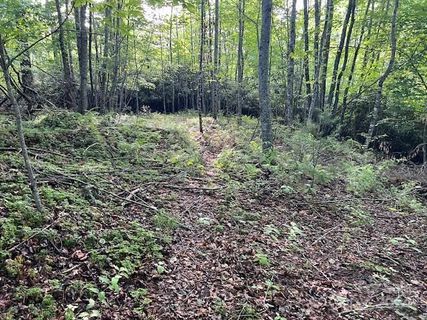 000 Old Chestnut Mountain Road sold home in Laurel Highlands, Green Mountain, NC