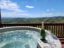 295 Vista Drive 402 sold home in Mars Hill, SC