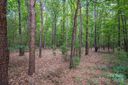 9532 Little Kern Lane sold home in Charlotte, SC