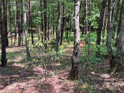 000 Mcdaniel Court 23 sold home in Shumont Estates, Lake Lure, NC