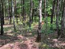 000 Mcdaniel Court 23 sold home in Lake Lure, SC