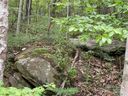 0000 Lytle Cove Road sold home in Swannanoa, SC