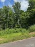 20 Maggies Lane sold home in Asheville, SC