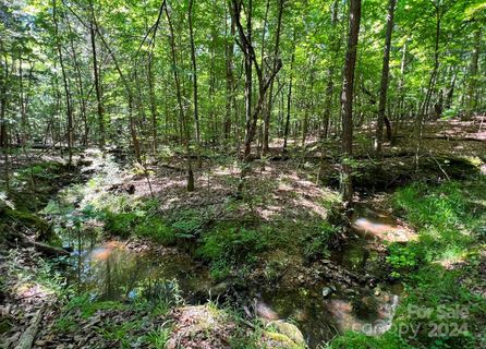 Lot 7b Three Lakes Trail sold home in Three Lakes Preserve, Waxhaw, NC
