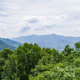 35 Twisted Trail