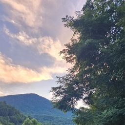 1 3 King Horn Ridge