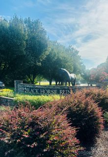 000 Black Horse Run Road 11 sold home in Black Horse Run, Indian Land, SC