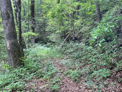 00 Eastatoe Gap Road sold home in Eastatoe Gap, Rosman, NC