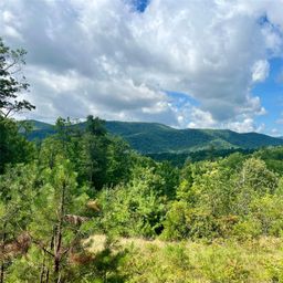 667 Laurel Thicket Lane