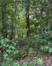 Tbd Mountain Lookout Drive 78 sold home in Bostic, SC