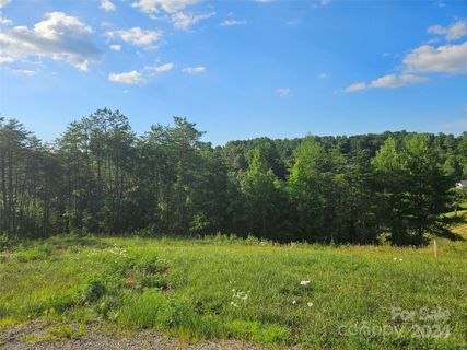 163 Wilson Farm Road sold home in Wilson Estates, Weaverville, NC