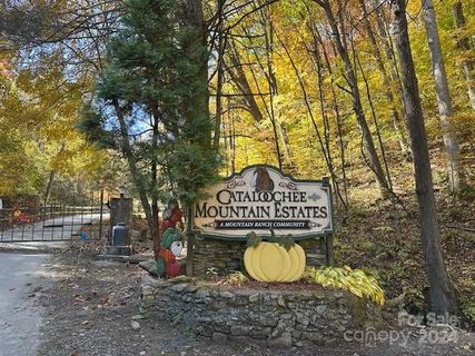 9999 Cisco Cove sold home in Cataloochee Ranch Estates, Waynesville, NC