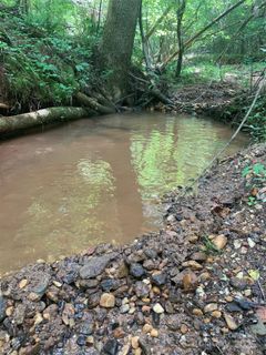 Lot 119 Creekside Circle