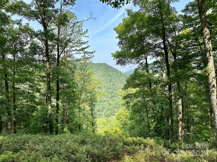 151 Wild Turkey Loop active home in French Broad Crossing, Marshall, NC