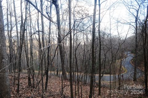 54 Great Aspen Way active home in Laurel Ridge, Black Mountain, NC