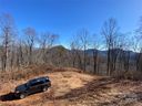 78 126 Mountain Magnolia Drive sold home in Leicester, SC