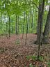 0 Deer Jump Trail sold home in Lake Lure, SC