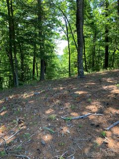 Lot 201 Meadow Crossing Lane sold home in Chestnut Mountain Farms, Mcgrady, NC