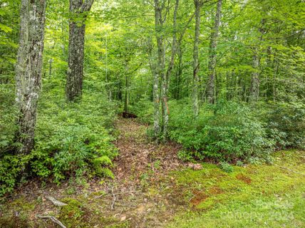 000 Panthertown Road 38R
