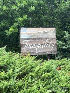 Homes in Tranquility At Lake Lure, Lake Lure