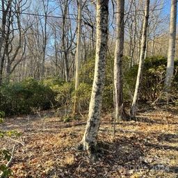 0 E Poplar Lane