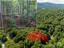 99999 Hickory Creek Court Lot 8 sold home in Arden, SC