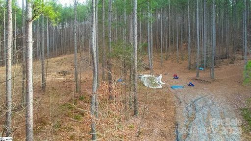 0 Pine Needle Lane 27 sold home in Fork Mountain, Bostic, NC