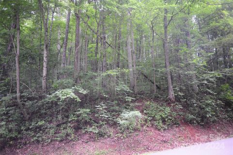 132 Ironwood Lane active home in Creston, Black Mountain, NC