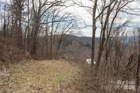 999 Falconwood Lane active home in Wildcat Cliffs, Asheville, NC
