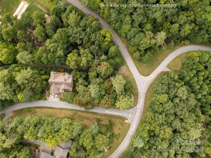 700 Blackgum Court active home in Champion Hills, Hendersonville, NC