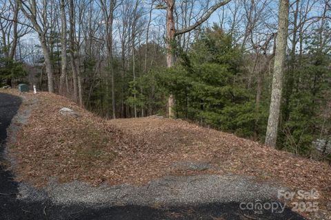 999 Falconwood Lane active home in Wildcat Cliffs, Asheville, NC