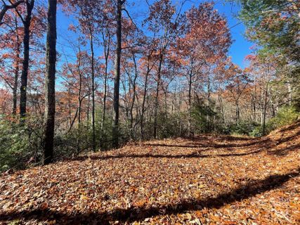 Lot 134 Green Hollow Lane