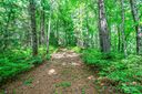 Tbd Big Branch Road sold home in Brevard, SC