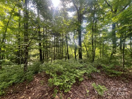 000 Laurel Thicket Lane active home in Big Hill, Brevard, NC