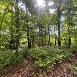 000 Laurel Thicket Lane