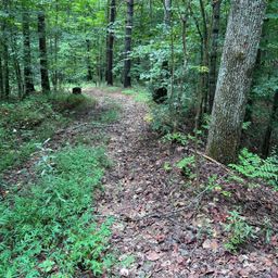645 Tunnel Road