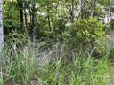 999 Erwin Hill Drive sold home in Etowah, SC
