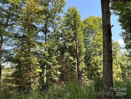 99999 Erwin Hill Drive sold home in Laurel Cove Retreat, Etowah, NC