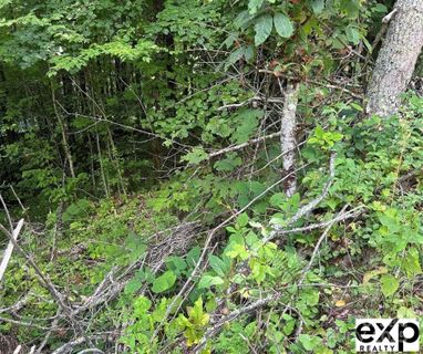 0000 Conley Drive active home in William Sutton Properties, Maggie Valley, NC