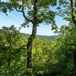 Lot 25 Panther Mountain Road