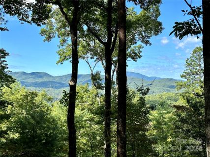 176 Winterberry Drive active home in French Broad Crossing, Marshall, NC