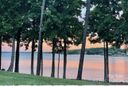 120 S Cove Key Lane sold home in Mooresville, SC