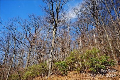 35 Wedgewood Terrace pending home in Laurel Ridge, Black Mountain, NC
