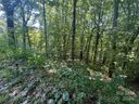 229 Hanging Rock Road sold home in Mars Hill, SC