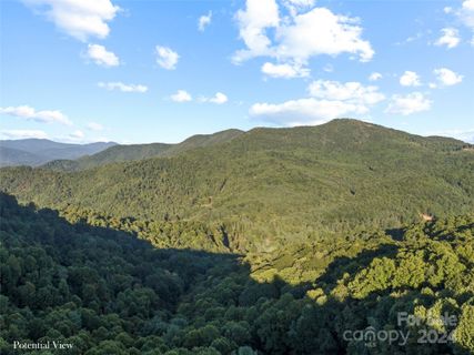 0000 Joslin Lane sold home in Moonshine Mountain, Burnsville, NC