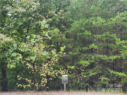 Lot 104 Boysenberry Drive active home in Blackberry Creek, Nebo, NC