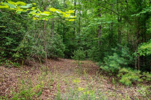 Lot 11 Bridle Ridge Way sold home in Austin Creek, Lenoir, NC
