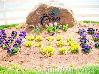 00 Windy Pine Circle 33B1