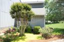 100 Willow Run Drive 15 sold home in Gastonia, SC