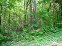 Lot 4 River Run Road sold home in Statesville, SC